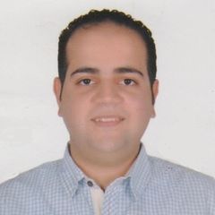 mahmoud fayez, A/P accountant