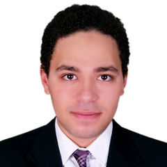 مصطفى أحمد, Sales Engineer