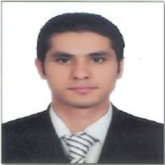 Mazen Qasqas, Internal Audit Senior