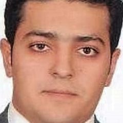 sahand bozorgi shotorbani, 