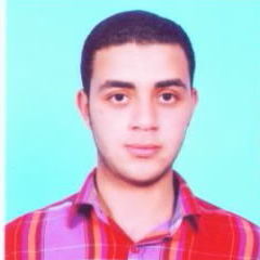 mohamed-wageah-28961240
