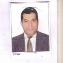 هانى محمد عبد الرحمن على, external auditor
