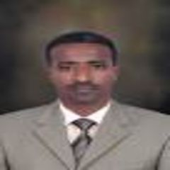 Mohamed Mutasim Mohamed Ali, Language Instructor