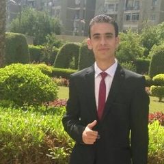 Mohamed Elmowafy, Web Developer
