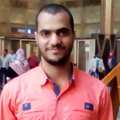 محمد عبد العزيز  رضوان, Technical Support Specialist