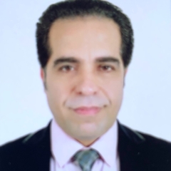 Mohamed Elghandour, Business Development Manager