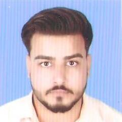 Syed Bilal Shah