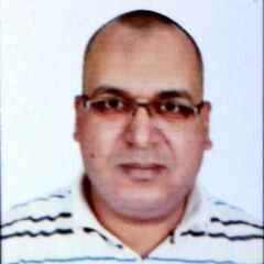 محمد شعبان, Site Manager