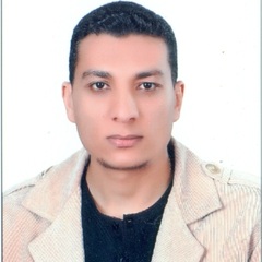 محمد النجار, MEP Projects Manager