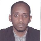 Mohamed alfadel, implementation manager