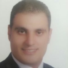 Michel Helmy, Unit manager