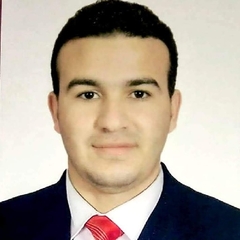 احمد محمد احمد عثمان, General Accountant 