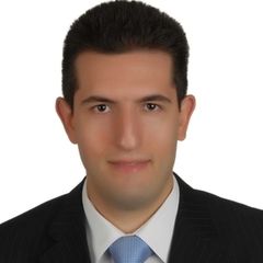 Hassan Cherri, Business Consultant