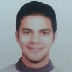 Ibrahem Ahmed, SAP Techno-Functional Consultant