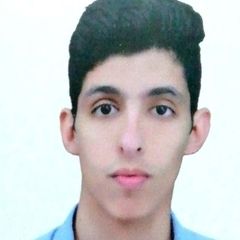 Ali Hamza, 