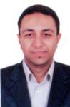 Tamer Monaiem, Service and Technical support Engineer