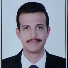Ahmed Abdelnasser anwer kamel