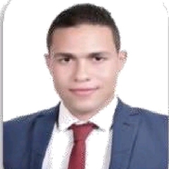 Mostafa Adel, Branch Store Manager 