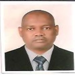 Elfatih Abdulla, Transport  manager