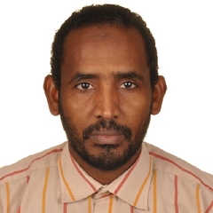 Mohamed Basher Elemam  Mohamed , Journalist