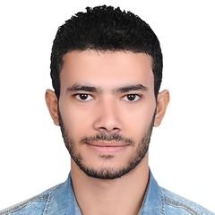 علي محمد بيومي, Software Engineer