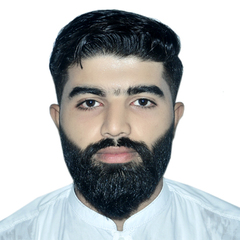 Ali Hassan, Web Developer