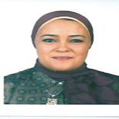 Heba Diab, Consultant and Recruiter