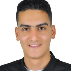 محمد  خيرى