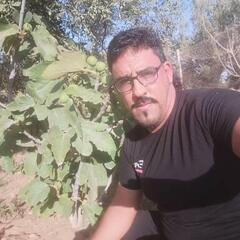 Hichem Hamda