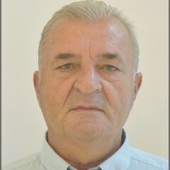 Lucian Adrian Niculescu, Senior Construction Manager 