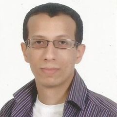 Mohamed Salah El-Din, Electrical Engineer