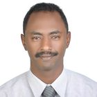 mohamed ibrahim, Chemotherapy department director