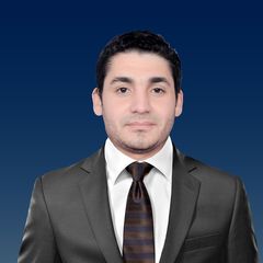 هيثم زيدان, information technology manager