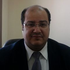 medhat fawwaz, Deputy Financial Manager