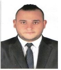 hazem mostafa hamza EL-metwaly, Audit Manager