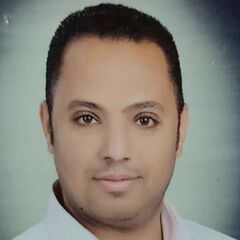 Wael Ahmed Elsayed, Document Controller