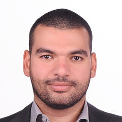 Ahmed Mokhtar, Senior IT Field Technician