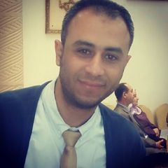 Ahmed Soliman, Export Logistics Manager 