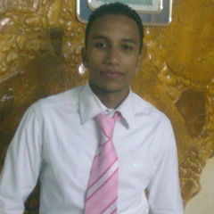 ahmed AbdelTawab Hussein, مسئول مبيعات
