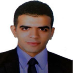 Bassem Ibrahim, Medical Sales Representative