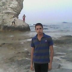 السيد الشربينى عبدالرحيم الجوهرى الجوهرى