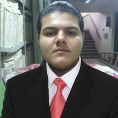 هشام عبد الحميد سيد عطا