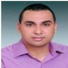 Amr Mahmoud, QC Engineer