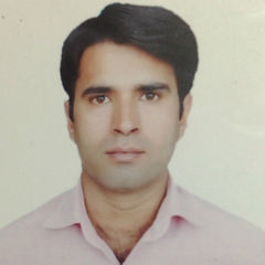 ammar haider, Pharmacist