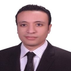 ahmed abd elhamid ahmed, Senior Accountant