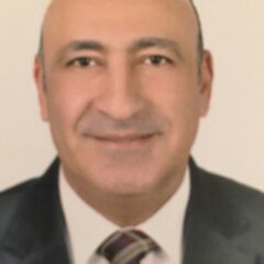Hany Abdel Salam, Project Manager, Senior