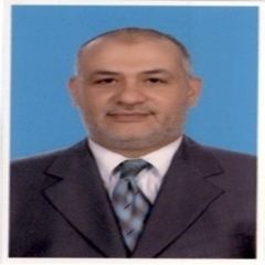 Ehab Mohamed, Sineor Accountant