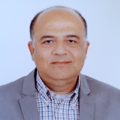 Rajnish Bailoor, Senior Project Manager