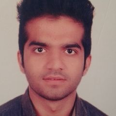 farid sorathiya, .net software engineer