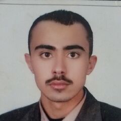 مروان حسن احمد العريقي العريقي, مدير مالي